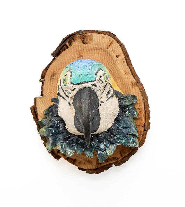 Ceramic Macaw Head