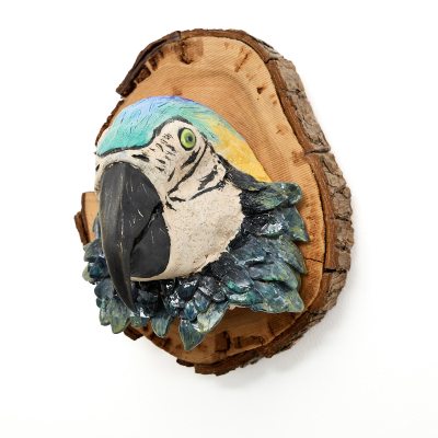Ceramic Macaw Head