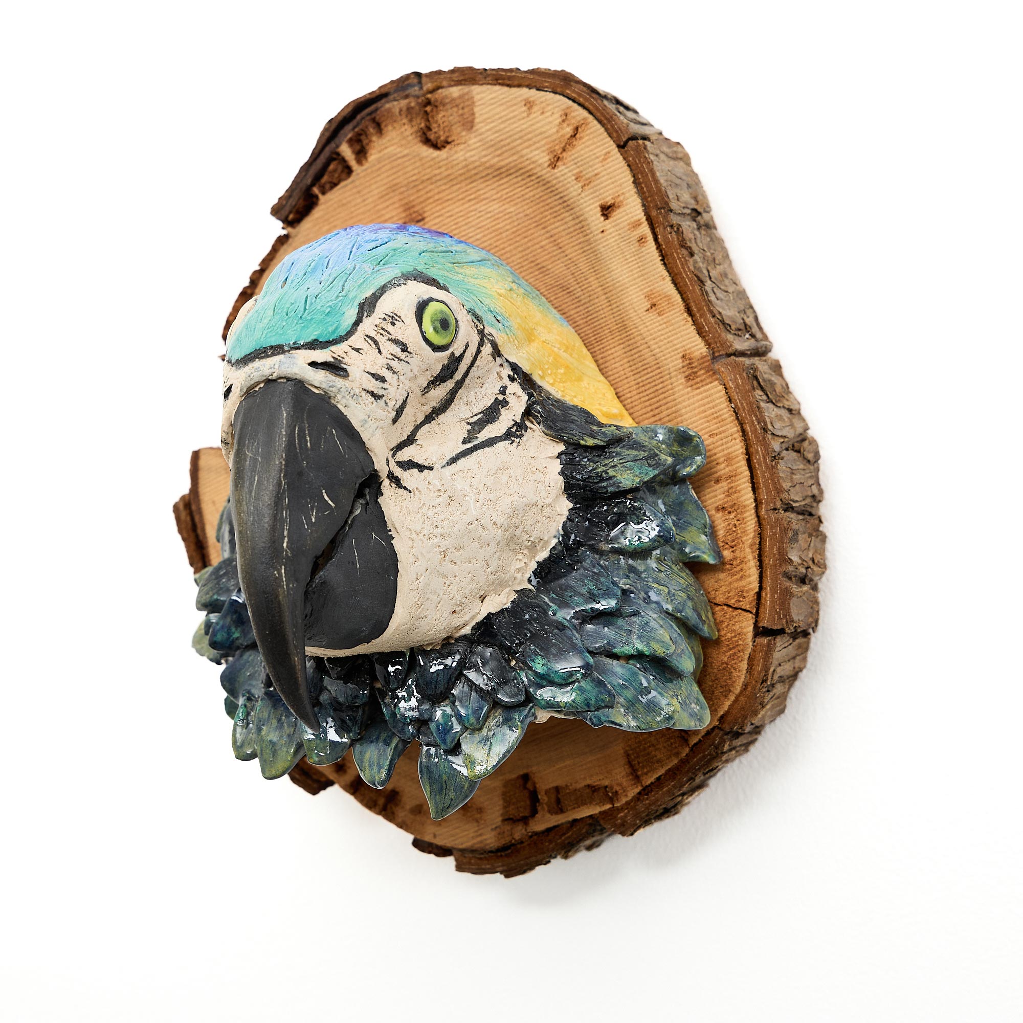 Ceramic Macaw Head
